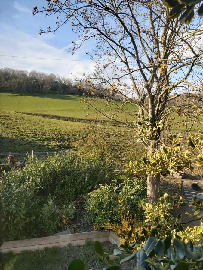 The Coach House Villa Llansantffraid-ym-Mechain Eksteriør billede